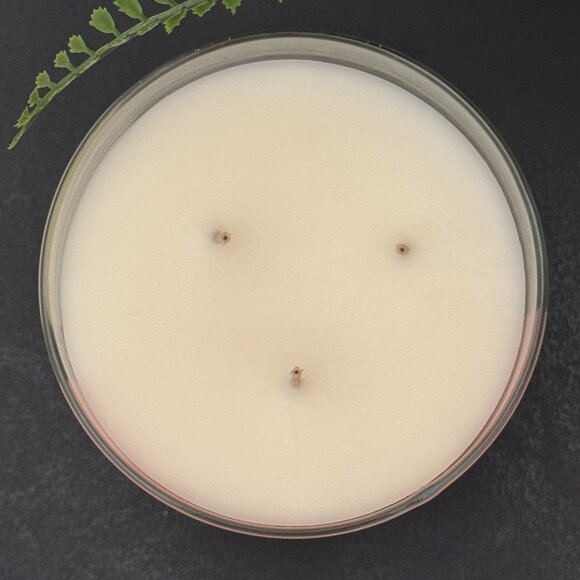 BBW Plumeria + Sugared Lemon Zest Bath & Body Works 3 Wick Candle - Picture 7 of 10